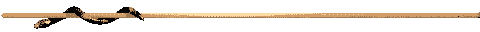 cl
